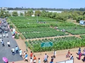 National Horticulture Fair 2024: Fostering Sustainable Agriculture through Technology Integration